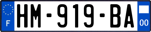 HM-919-BA