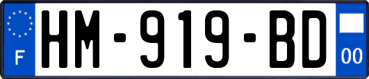 HM-919-BD
