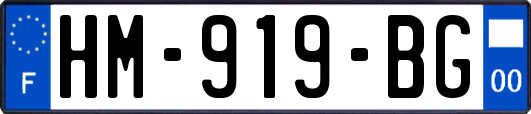 HM-919-BG