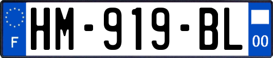 HM-919-BL
