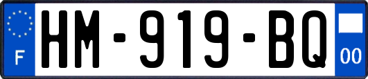 HM-919-BQ