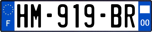 HM-919-BR