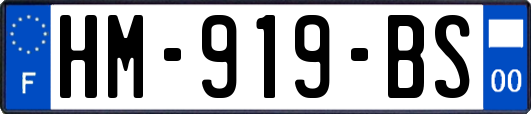 HM-919-BS