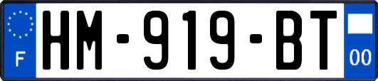 HM-919-BT