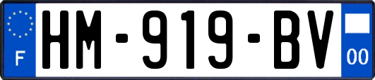 HM-919-BV