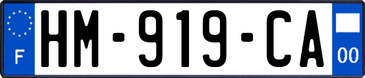 HM-919-CA
