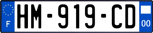 HM-919-CD
