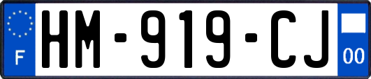 HM-919-CJ