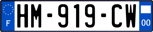 HM-919-CW