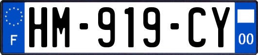 HM-919-CY