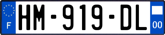 HM-919-DL