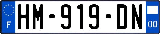 HM-919-DN