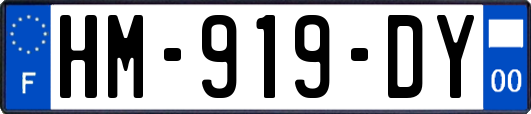 HM-919-DY
