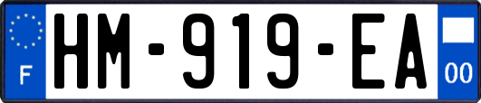 HM-919-EA