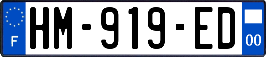 HM-919-ED