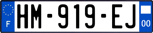 HM-919-EJ
