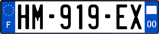 HM-919-EX