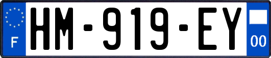 HM-919-EY