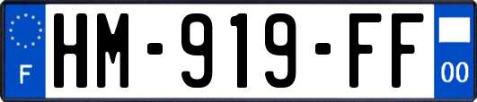 HM-919-FF