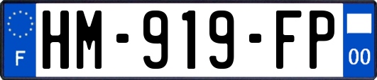 HM-919-FP