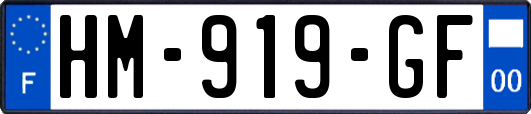 HM-919-GF