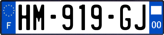 HM-919-GJ