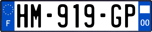HM-919-GP