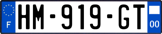 HM-919-GT