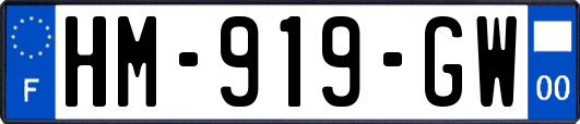 HM-919-GW