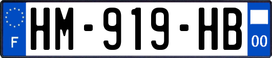 HM-919-HB