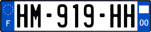HM-919-HH