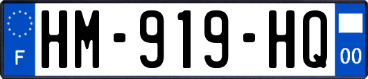 HM-919-HQ