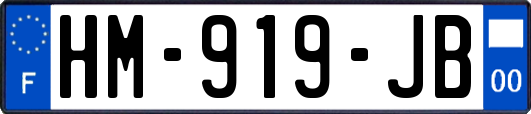 HM-919-JB