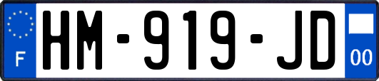 HM-919-JD