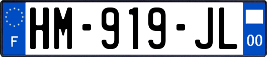 HM-919-JL