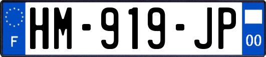 HM-919-JP