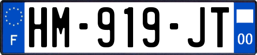 HM-919-JT