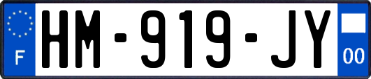HM-919-JY