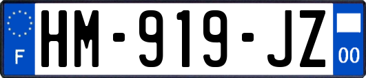 HM-919-JZ