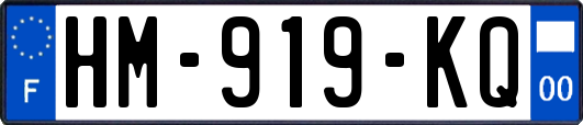 HM-919-KQ