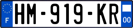 HM-919-KR