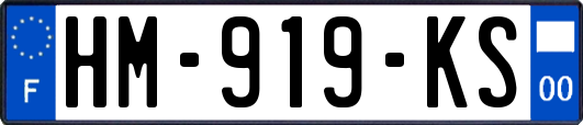 HM-919-KS