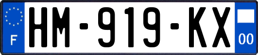 HM-919-KX