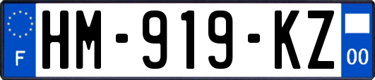 HM-919-KZ