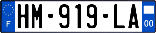 HM-919-LA