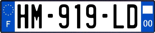 HM-919-LD