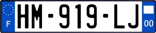 HM-919-LJ