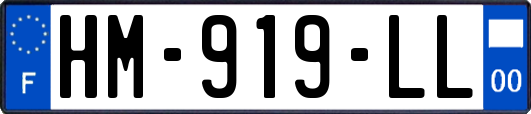 HM-919-LL