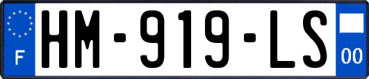 HM-919-LS