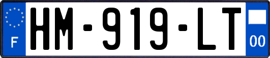 HM-919-LT